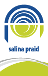Salina Praid